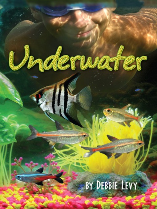 Title details for Underwater by Debbie Levy - Available